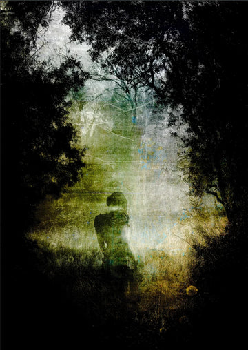 Timeless Meadow — Tony Kettle